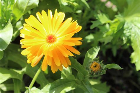 MOMS Advocating Sustainability - Home