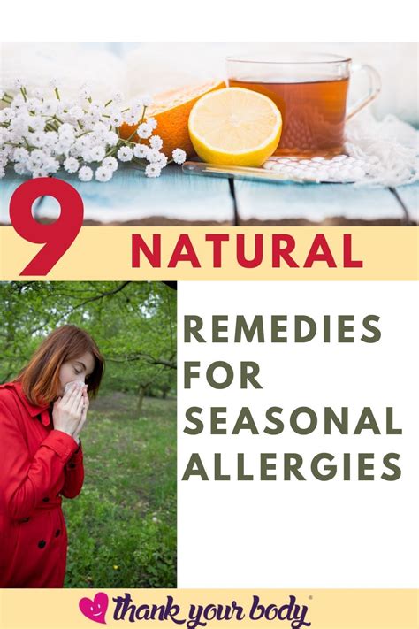 9 Natural Remedies For Seasonal Allergies And Histamine Release 2020