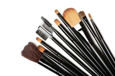Different Types Of Makeup Brushes And How To Use Them Beverly Hills Md