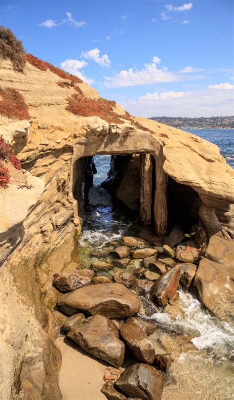 La Jolla Sea Caves Ultimate Guide For Visitors