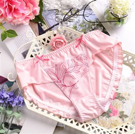 Japanese Embroidered Sweet Flying Sexy Low Waist Panties Strings Majtki