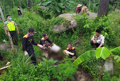 Maybe you would like to learn more about one of these? Penemuan Kerangka Manusia di Desa Wisnu - Kabar Pemalang ...