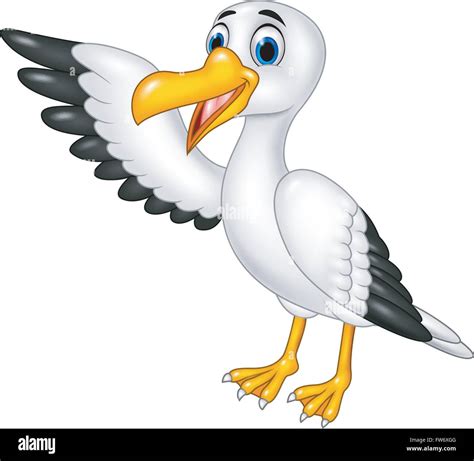 Cartoon Funny Seagull Presenting Isolated On White Background Stock