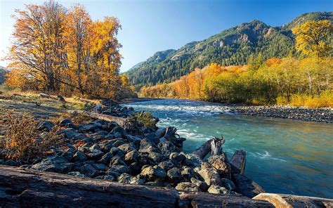 America Autumn River Forest Mountains Usa Hd Wallpaper Peakpx