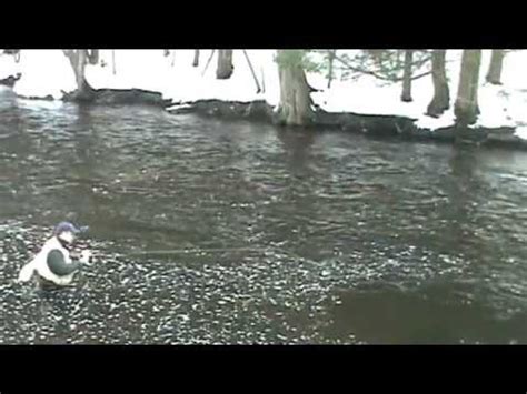 29m 43s play images loading. Deep Wet Fly Technique - YouTube