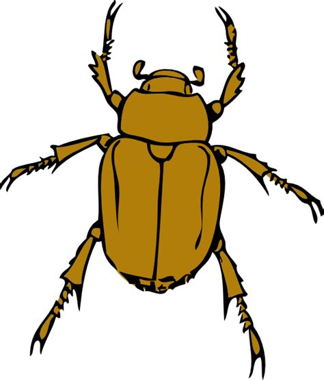 Beetle Bug Png Hd Quality Png Play