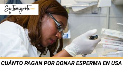 ¿cuánto Pagan Por Donar Esperma En Estados Unidos En El 2024