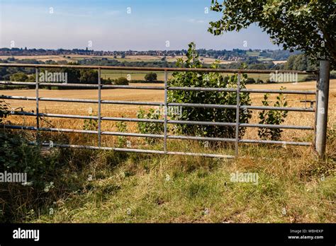 Padlocked Gates High Resolution Stock Photography And Images Alamy