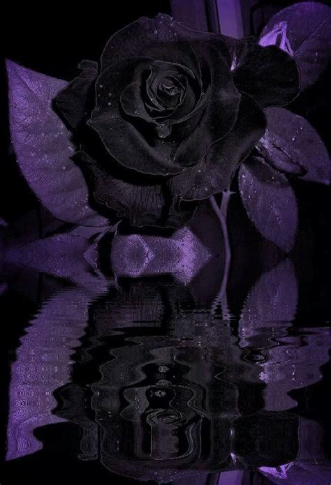 62 Best Smell The Roses Images On Pinterest Black Roses