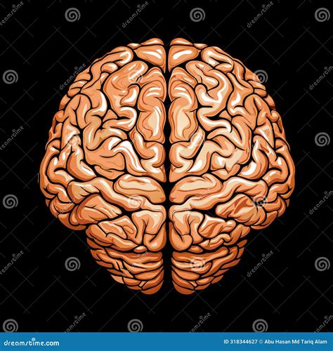 A High Detailed Vibrant Human Brain Illustration Stock Vector