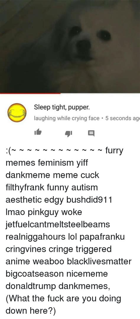 Sleep Tight Pupper Laughing While Crying Face 5 Seconds Ag