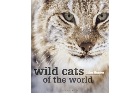 Wild Cat Book Review Wild Cats Of The World By Luke Hunter 2015