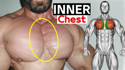 the 6 best exercises inner chest 🔥 youtube