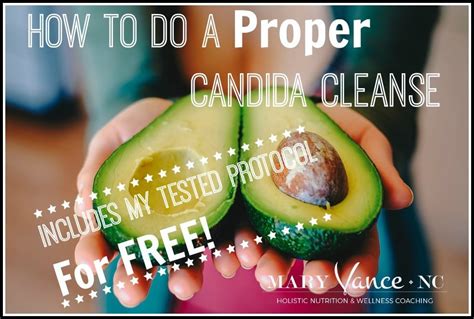 how to do a candida cleanse free protocol included mary vance nc