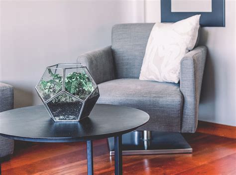 San diego pest management is an industry leading provider of integrated pest management services and solutions in san diego. Pest Control San Diego, CA | San Diego Pest Management ...