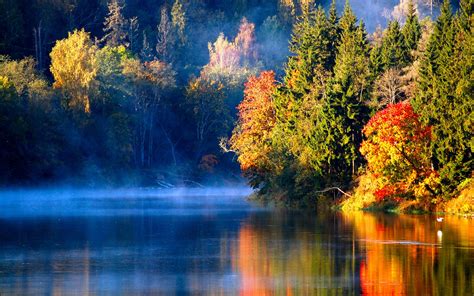Wallpaper Latvian Autumn Forest River Mist In The Morning 1920x1200 Hd