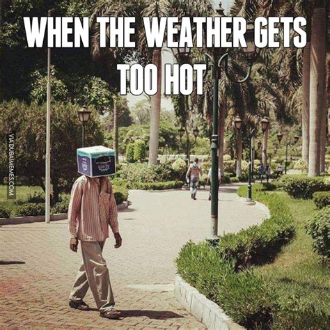 Some of them are so funny that will make you smile in this hot day. 22 Hot Weather Memes That'll Help You Cool Down ...