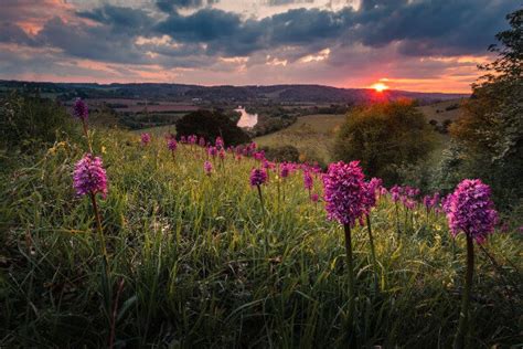 Latest News From Chiltern Countryside Group Living Magazines