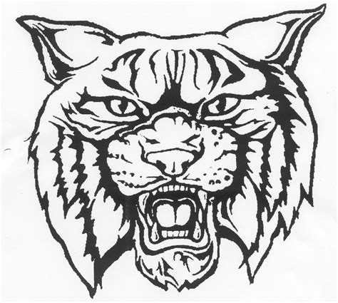 Coloring pages under tags paw patrol moto pups you might also like. Wildcat clipart - Clipground
