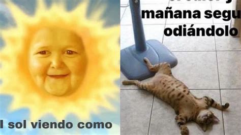 Estos Son Los Mejores Memes De La Ola De Calor En Guanajuato La Silla