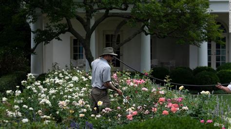 Melania Trumps White House Rose Garden Revamp Still Sowing Controversy