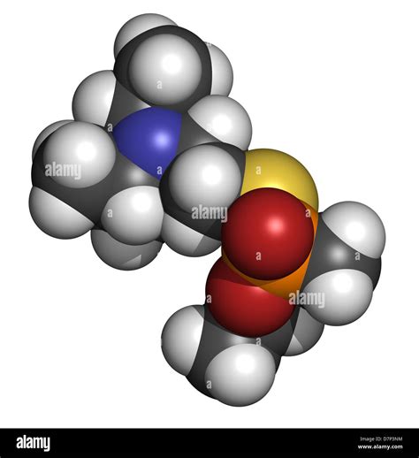 Vx Nerve Agent Molecular Model Vx Is A Chemical Weapon Classified As