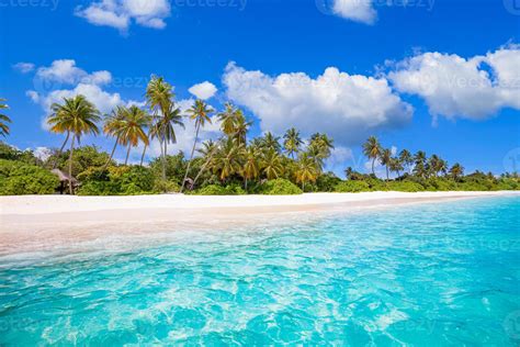 Maldives Island Beach Tropical Landscape Of Summer Scenery White Sand