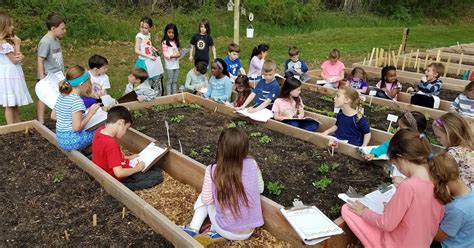 Davis Elementary School Garden Plant Observations
