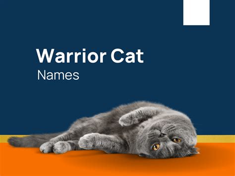1123 Cool Warrior Cat Names That Reign Supreme Generator