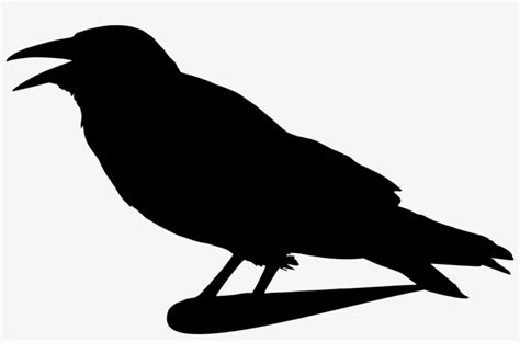 Crow Raven Silhouette Isolated Bird Black Crow Clip Art Png Image