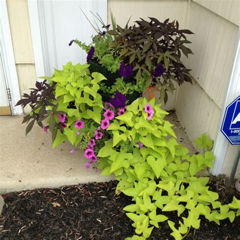 Stacked flower pots make the perfect eye catching arrangement to brighten up your entrance way. Tiered flower pot | Flower pots, Plants, Flowers