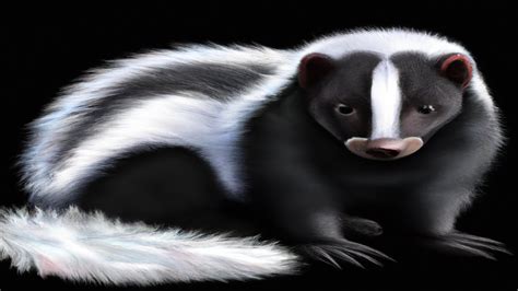 The Fascinating World Of Skunks Nature S Unique Creatures YouTube
