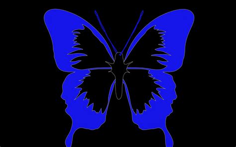 Dark Butterfly Wallpapers Top Free Dark Butterfly Backgrounds