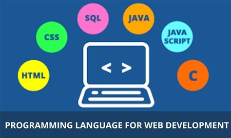 Best Programming Language For Web Development