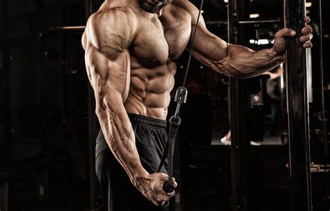 Top 8 Triceps Exercises For Men Buildingbeast