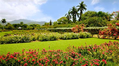 Hope Gardens Prips Jamaica