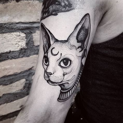 35 Gorgeous Sphynx Cat Tattoo Designs Amazing Tattoo Ideas Sphynx