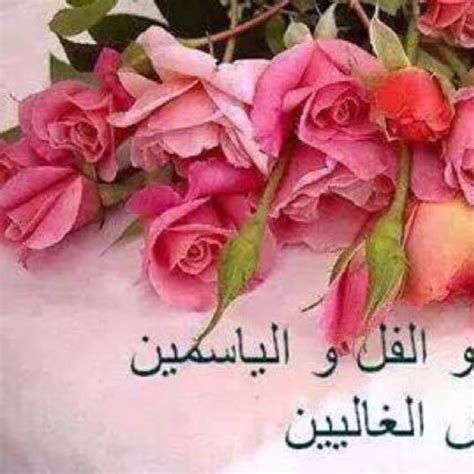 مساء برائحة الياسمين النقي للاهل و الاحباب مساء الورد للاصدقاء فالليل هو وقت تبادل الاحاديث و مد الوصال و الراحه من صور المكتوب عليها مساء الورد و الفل و الياسمين لتشاركها مع صباح الورد والفل والياسمين , اجمل صباح على الحباب - حركات