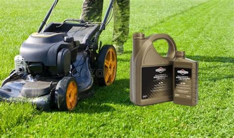 What Kind Of Oil For A Lawn Mower How To Choose Lawn Mower Oil