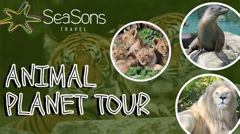 Animal Planet Tour Seasons Travel Youtube