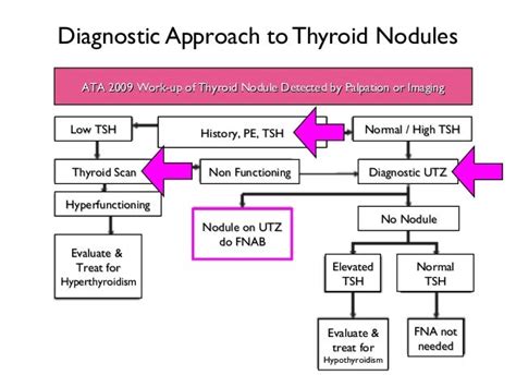 2013 4 14 Cdo Tepi Thyroid Nodules And Cancer Case Based Approach