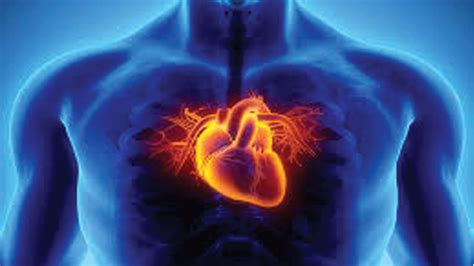 Heart diseases and their causes. Coronary artery disease on the rise in PNG, says Dr Gupta ...