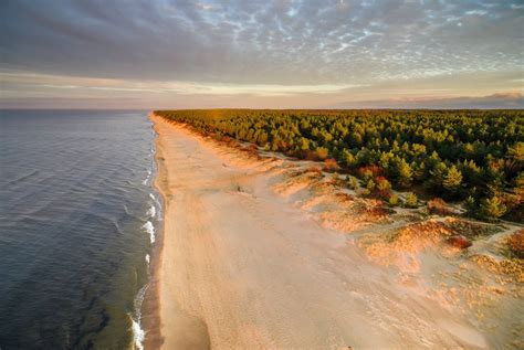 Latvia | IUFRO Stockholm 2024