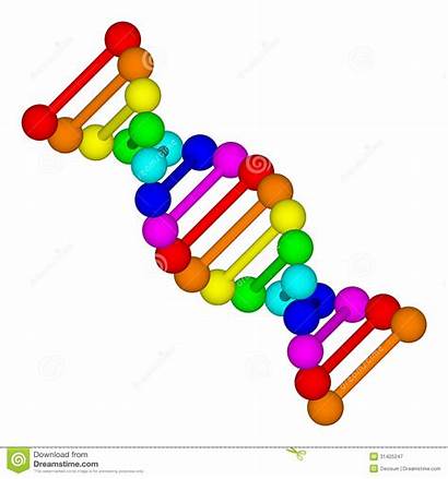 Dna Clipart Nucleic Acid Biotechnology Biology Biochemistry