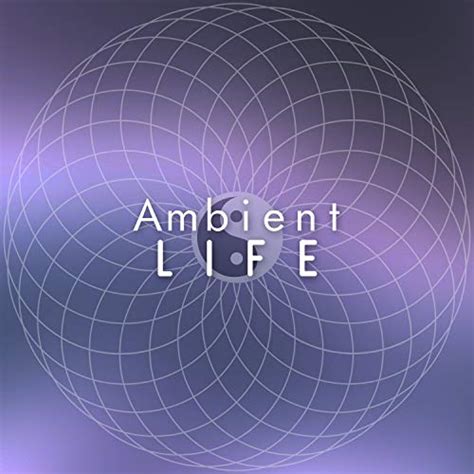 Ambient Life Ambient Everything Else