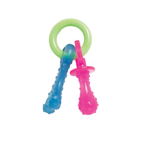 Puppy Pacifier Dog Pacifier Teething Toy Nylabone