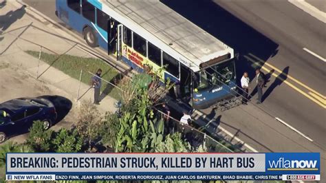 Pedestrian Struck Killed By Hart Bus Tampa Police Say Wfla