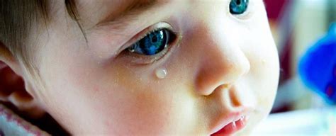 ¿por Qué Lloran Los Bebés Cry Translator Descifra Sus Emociones