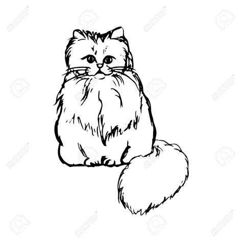 Abstract Drawing Of A Fluffy Cat Graphic Vector Illustration Stock