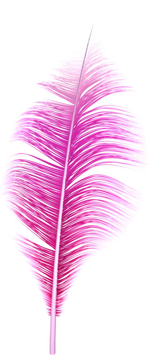 Congratulations The Png Image Has Been Downloaded Pink Feather Png